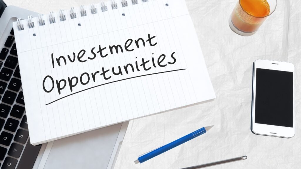 Secret Stock Picks: Explode Your Wealth with Business Investment Opportunities in 2024! business investment opportunities