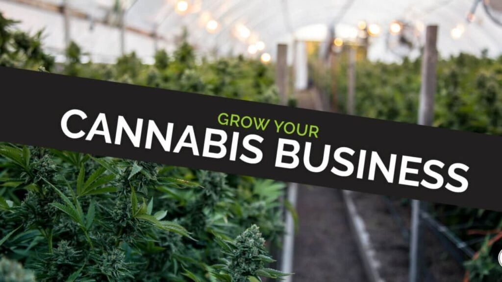 Understanding the Landscape: What is Cannabusiness? what is cannabusiness