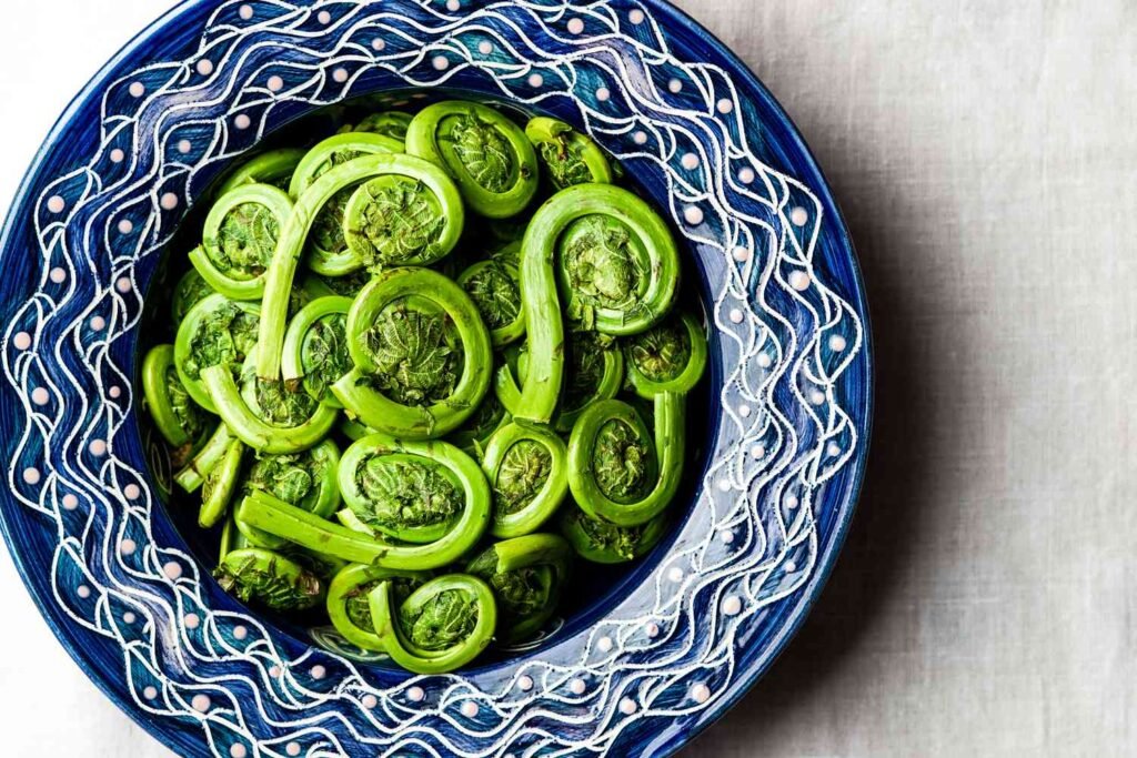 Fiddlehead Ferns Health Benefits: 6 Surprising Reasons You Should Try fiddlehead ferns health benefits