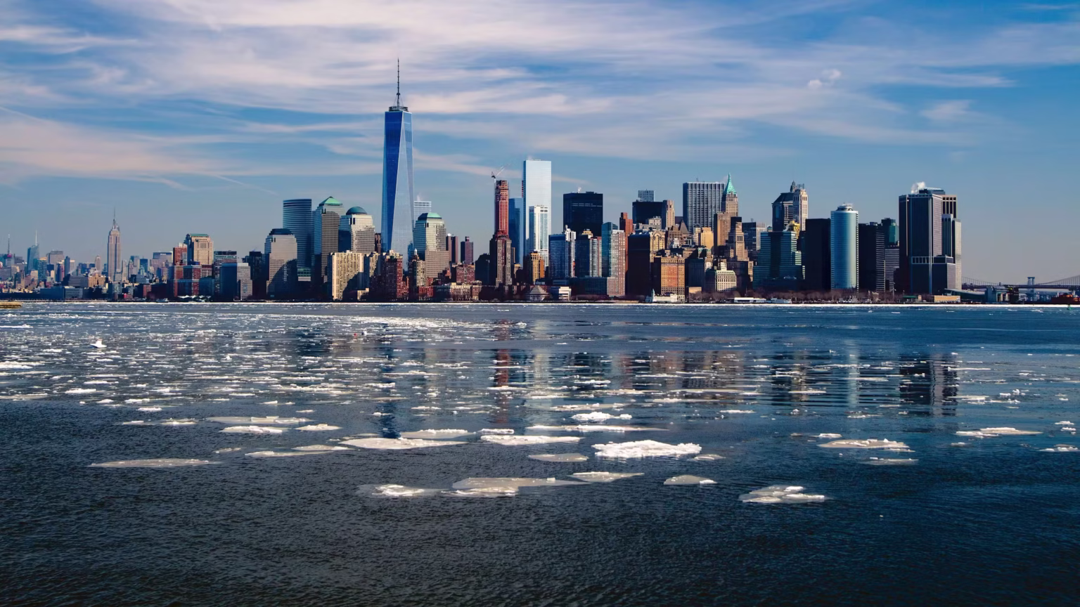 Comprehensive Guide to New York Business Lookup: new york business lookup